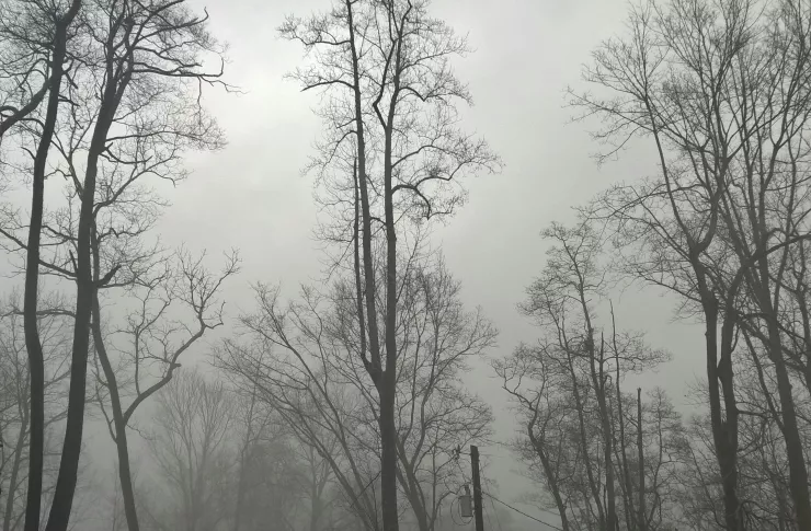 winter