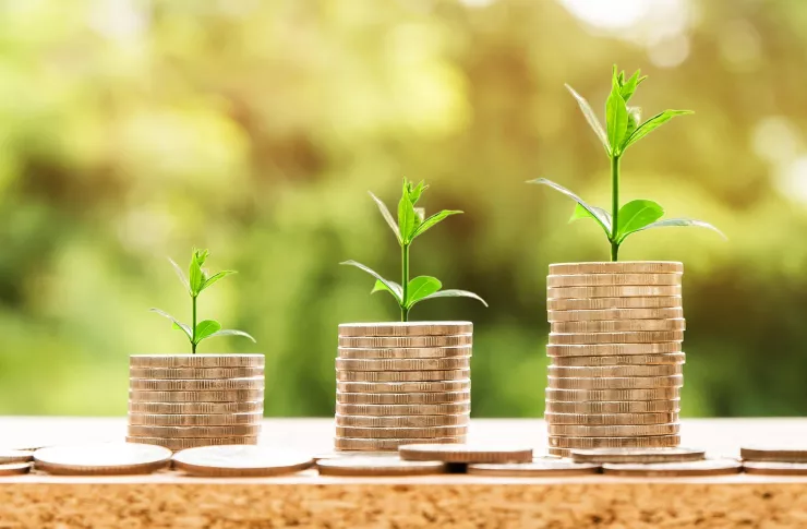 Plants growing behind the coins